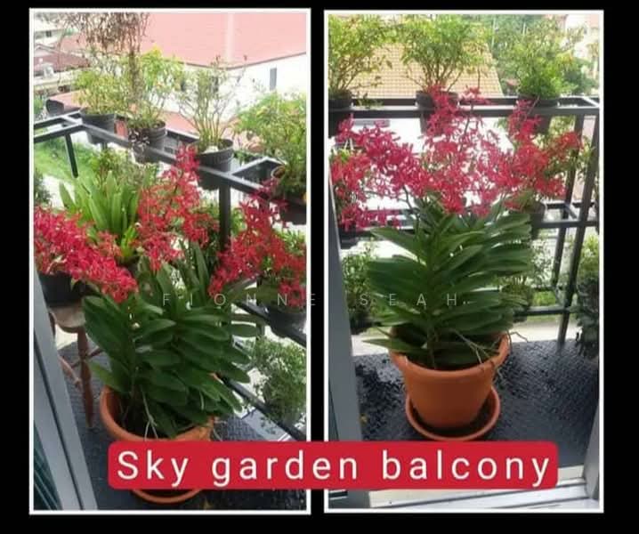 Apartment for Sale at Taman Gemilang - Fionne Seah - PropertyGuru.com.my