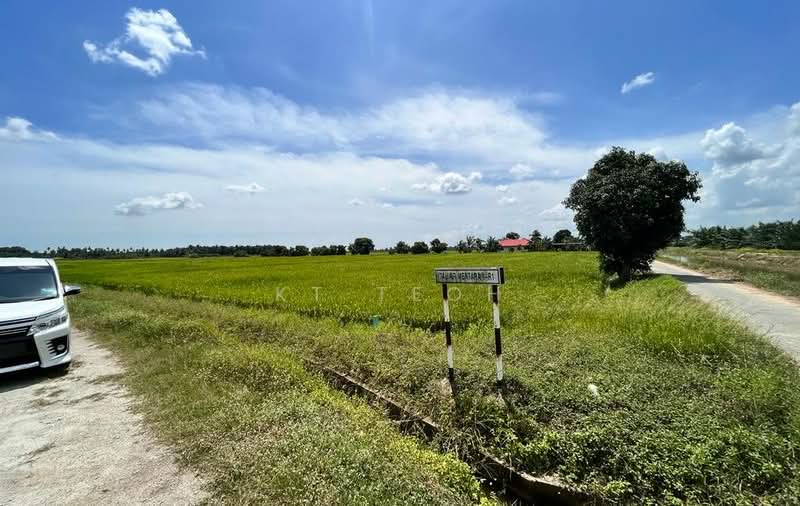 Below Market Value; Agricultural Land @ Bagan Serai, Kerian, Perak untuk Untuk Dijual - RM 1,150,000, Apr 2026 - Exterior - PropertyGuru.com.my
