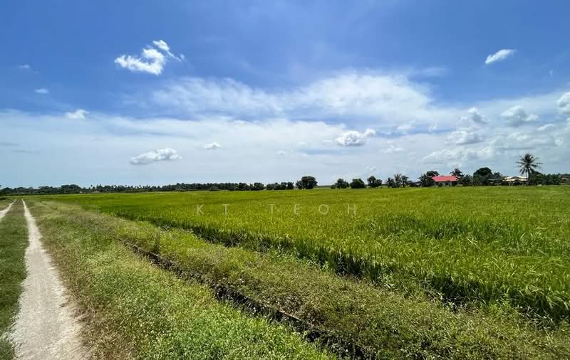 Below Market Value; Agricultural Land @ Bagan Serai, Kerian, Perak untuk Untuk Dijual - RM 1,150,000, Apr 2026 - Exterior - PropertyGuru.com.my
