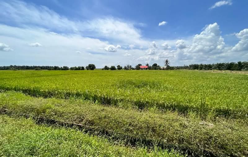 Below Market Value; Agricultural Land @ Bagan Serai, Kerian, Perak untuk Untuk Dijual - RM 1,150,000, Apr 2026 - Exterior - PropertyGuru.com.my