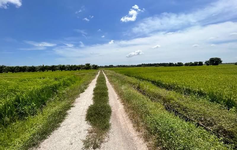 Below Market Value; Agricultural Land @ Bagan Serai, Kerian, Perak untuk Untuk Dijual - RM 1,150,000, Apr 2026 - Exterior - PropertyGuru.com.my