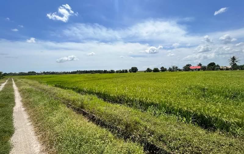 Below Market Value; Agricultural Land @ Bagan Serai, Kerian, Perak untuk Untuk Dijual - RM 1,150,000, Apr 2026 - PropertyGuru.com.my