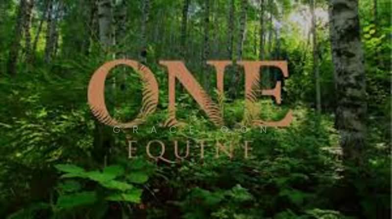 Service Residence for Rent at One Equine - Grace Oon - PropertyGuru.com.my