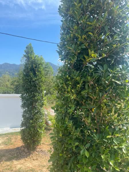 Bungalow for Rent in Alor Gajah (Melaka) - M Jamil Ali - Exterior - PropertyGuru.com.my
