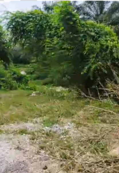 Lenggeng Agricultural Land – 0.712 Acre | Individual Title | For Sale untuk Untuk Dijual - RM 175,000, Mac 2026 - Exterior - PropertyGuru.com.my