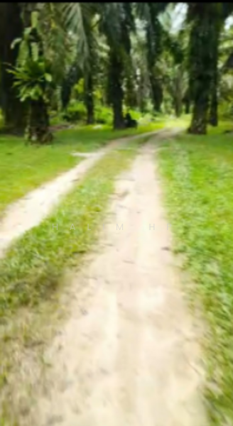 Lenggeng Agricultural Land – 0.712 Acre | Individual Title | For Sale untuk Untuk Dijual - RM 175,000, Mac 2026 - Exterior - PropertyGuru.com.my