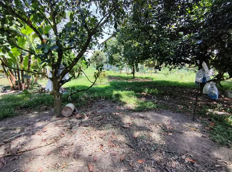 Agricultural Land for Sale in Sungai Gadut (Negeri Sembilan) - Marcus Yeow - PropertyGuru.com.my