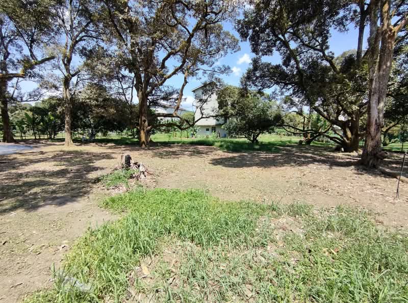 Agricultural Land for Sale in Sungai Gadut (Negeri Sembilan) - Marcus Yeow - PropertyGuru.com.my