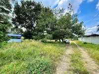 For Sale - Semabok Melaka