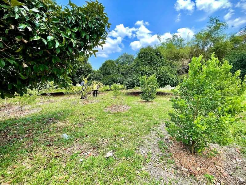 Agricultural Land for Sale in Semabok (Melaka) - Amirul Nasyriq - Garden - PropertyGuru.com.my