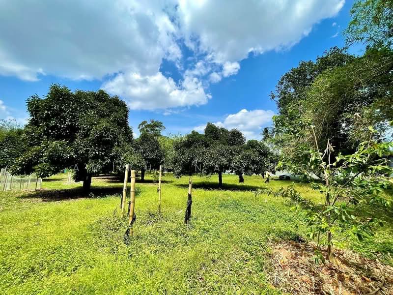 Agricultural Land for Sale in Semabok (Melaka) - Amirul Nasyriq - Garden - PropertyGuru.com.my