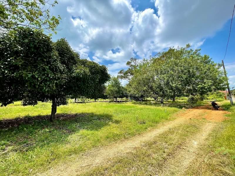 Agricultural Land for Sale in Semabok (Melaka) - Amirul Nasyriq - Exterior - PropertyGuru.com.my