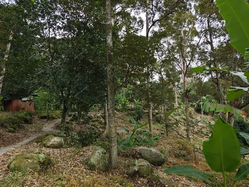 Agricultural Land for Sale in Telok Kumbar (Penang) - Teh Guan Fong - Exterior - PropertyGuru.com.my