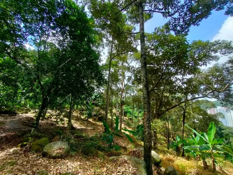 Agricultural Land for Sale in Telok Kumbar (Penang) - Teh Guan Fong - Exterior - PropertyGuru.com.my