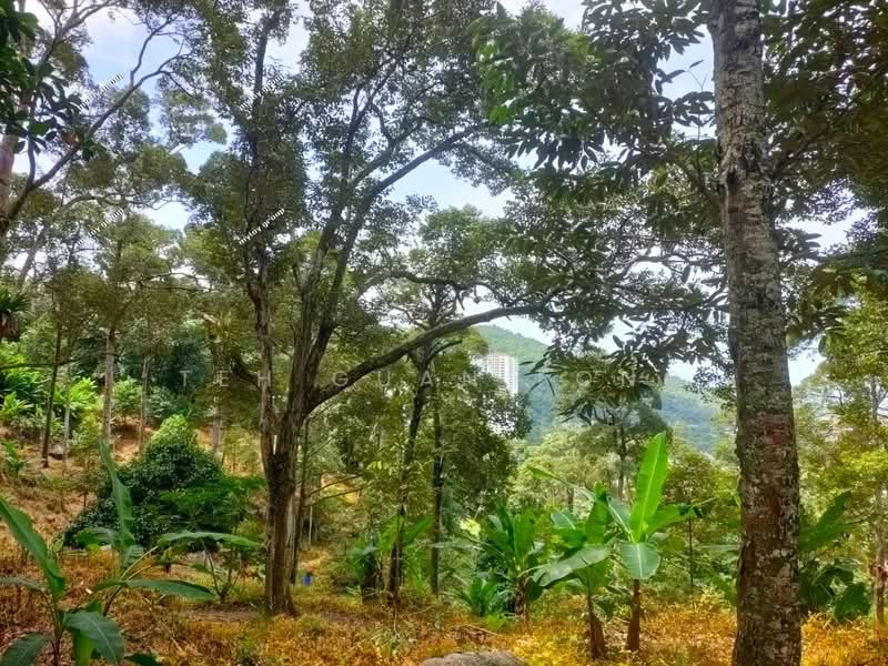 Agricultural Land for Sale in Telok Kumbar (Penang) - Teh Guan Fong - Exterior - PropertyGuru.com.my
