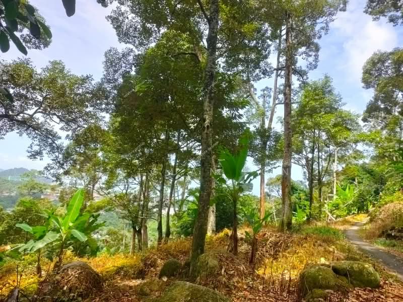 Agricultural Land for Sale in Telok Kumbar (Penang) - Teh Guan Fong - Exterior - PropertyGuru.com.my