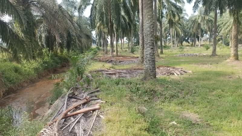 Bestari Jaya untuk Untuk Dijual - RM 850,000, Apr 2026 - PropertyGuru.com.my