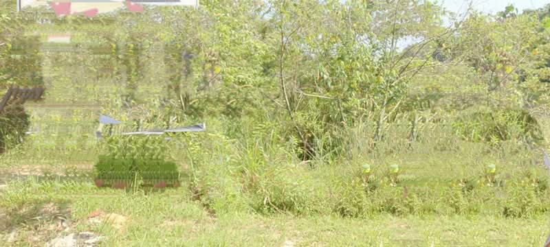 Residential Land for Sale in Dengkil (Selangor) - Mohammad Din Majid - Exterior - PropertyGuru.com.my