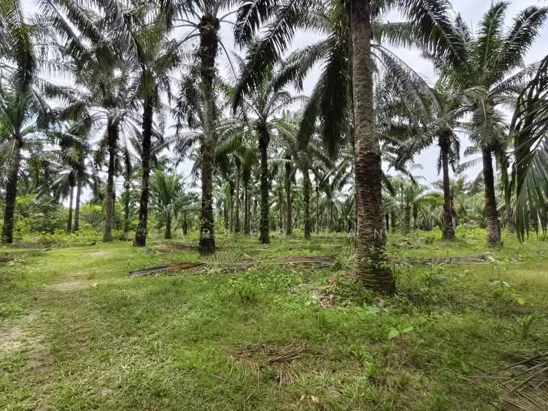 Mengkuang untuk Untuk Dijual - RM 24,898,259, Mac 2026 - Exterior - PropertyGuru.com.my