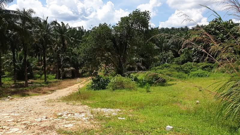 Industrial Land for Sale in Kempas (Johor Bahru) - Adam Lee - Exterior - PropertyGuru.com.my