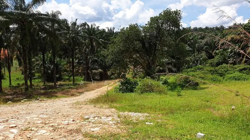 Industrial Land for Sale in Kempas (Johor Bahru) - Adam Lee - Exterior - PropertyGuru.com.my
