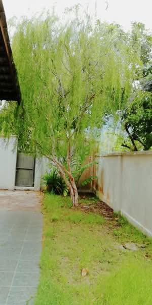 Eden Ferringhi Double Storey Semi D @ Batu Ferringhi untuk Untuk Dijual - RM 900,000, Mac 2026 - PropertyGuru.com.my