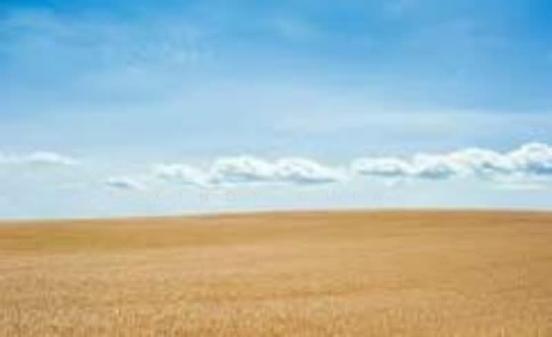 Industrial Land for Sale in Semenyih (Selangor) - Xindy Chia - PropertyGuru.com.my