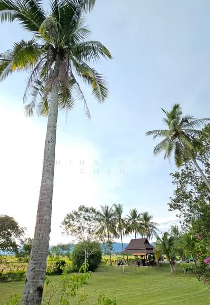 Hotel / Resort for Sale in Kuah (Kedah) - Ching Wooi Chen - Exterior - PropertyGuru.com.my