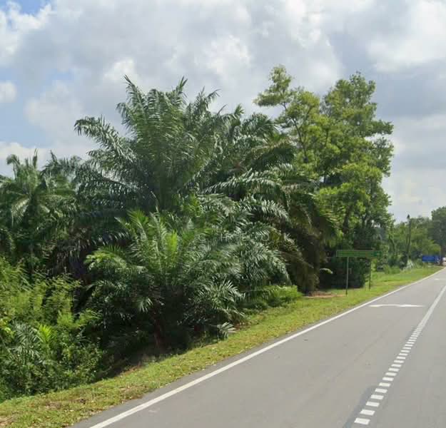 Tanah Perindustrian untuk Dijual di Pontian (Johor) - BK Cheok - PropertyGuru.com.my