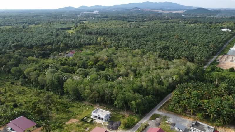 Industrial Land for Sale in Pekan Nanas (Johor) - Lawrence Tan - Exterior - PropertyGuru.com.my
