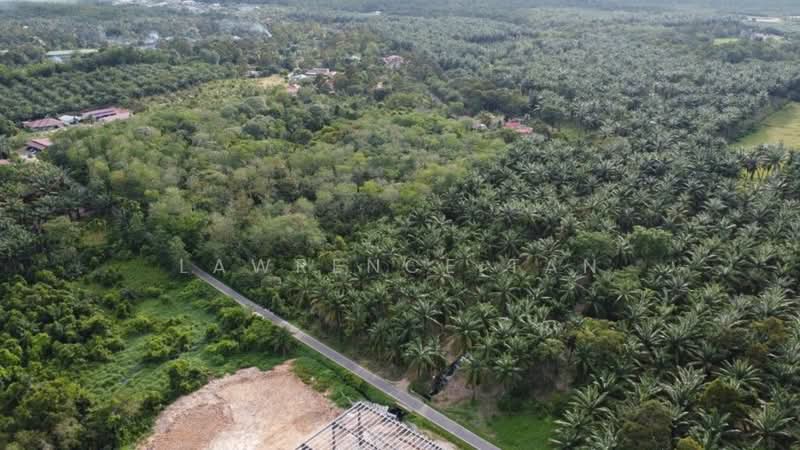 Industrial Land for Sale in Pekan Nanas (Johor) - Lawrence Tan - Exterior - PropertyGuru.com.my