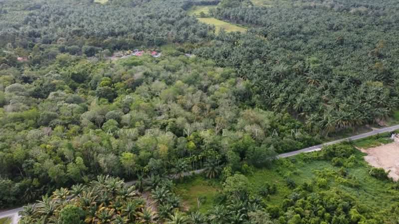 Industrial Land for Sale in Pekan Nanas (Johor) - Lawrence Tan - Exterior - PropertyGuru.com.my