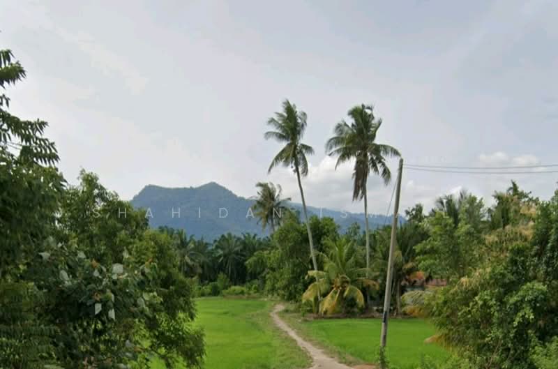 Tanjung Dawai untuk Untuk Dijual - RM 425,000, Apr 2026 - Exterior - PropertyGuru.com.my