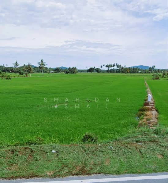 Tanjung Dawai untuk Untuk Dijual - RM 425,000, Apr 2026 - Exterior - PropertyGuru.com.my