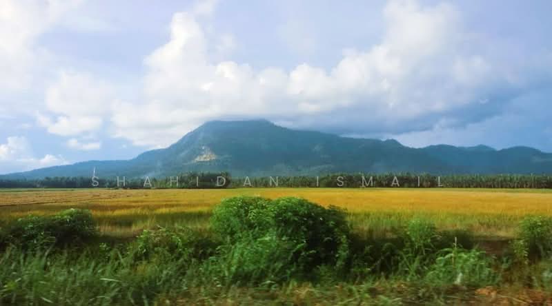 Tanjung Dawai untuk Untuk Dijual - RM 425,000, Apr 2026 - View - PropertyGuru.com.my