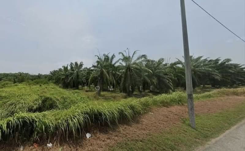 Industrial Land for Sale in Kapar (Selangor) - Tom Lee - Exterior - PropertyGuru.com.my