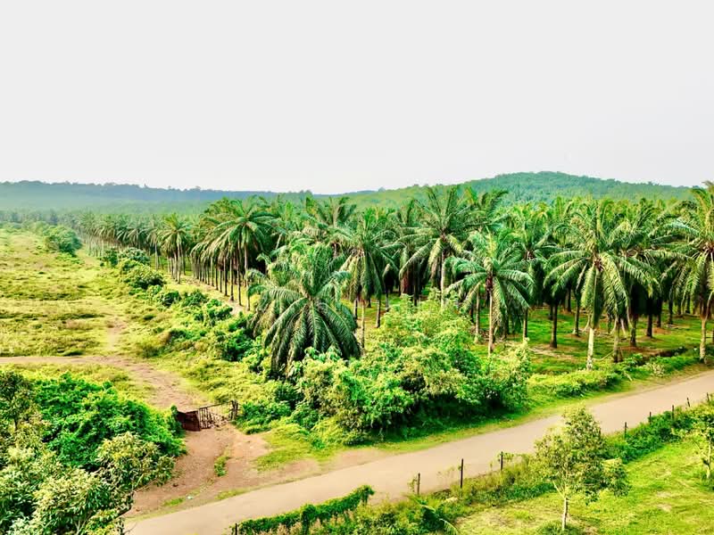 Freehold Land Bank Port Dickson untuk Untuk Dijual - RM 375,870,000, Mac 2026 - Exterior - PropertyGuru.com.my