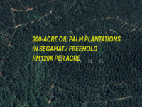 For Sale - 300-ACRE OIL PALM PLANTATIONS IN SEGAMAT FOR SALES