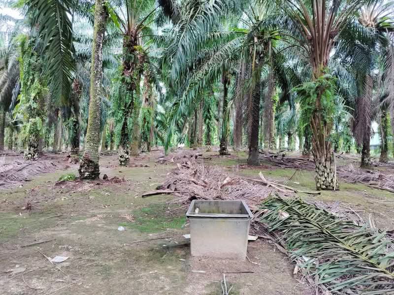 Gelang Patah Residential Zoning untuk Untuk Dijual - RM 8,289,715, Mac 2026 - Exterior - PropertyGuru.com.my