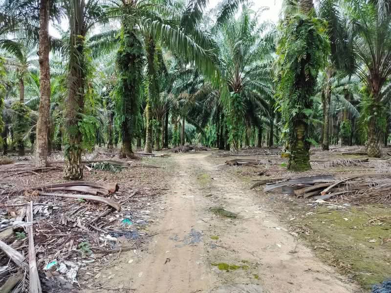 Gelang Patah Residential Zoning untuk Untuk Dijual - RM 8,289,715, Mac 2026 - Exterior - PropertyGuru.com.my