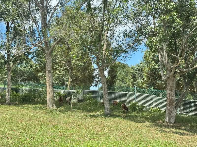 Hotel / Resort for Rent in Durian Tunggal (Alor Gajah) - Wesley Tan - Exterior - PropertyGuru.com.my