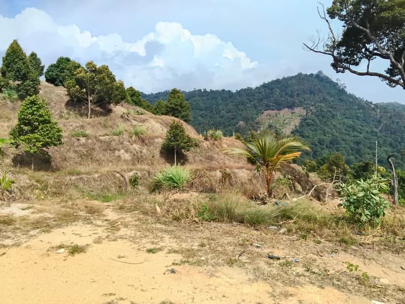 Agricultural Land for Sale in Teluk Kumbar (Penang) - Alex Loh - Exterior - PropertyGuru.com.my