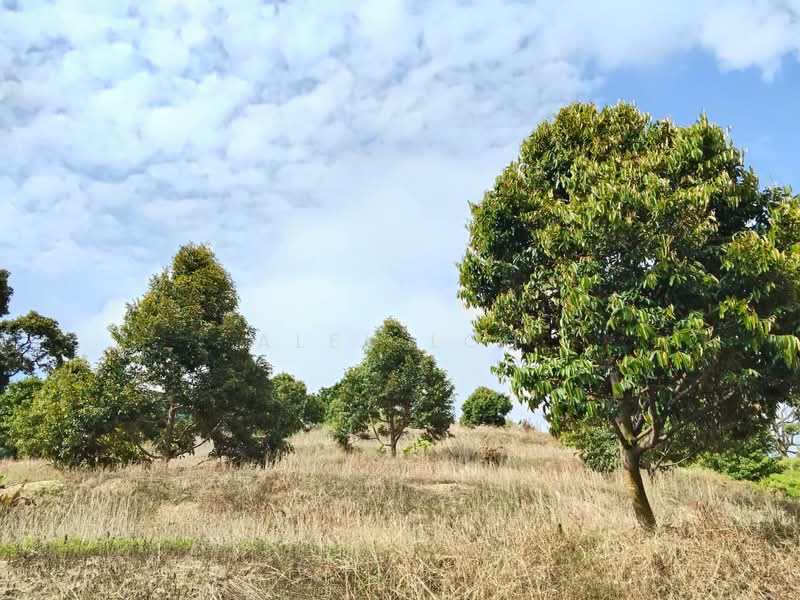 Agricultural Land for Sale in Teluk Kumbar (Penang) - Alex Loh - Exterior - PropertyGuru.com.my