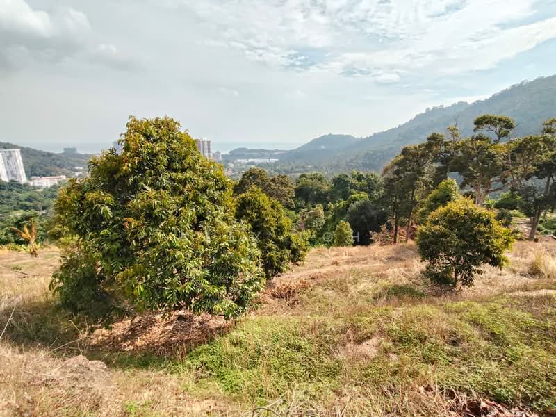 Agricultural Land for Sale in Teluk Kumbar (Penang) - Alex Loh - Exterior - PropertyGuru.com.my