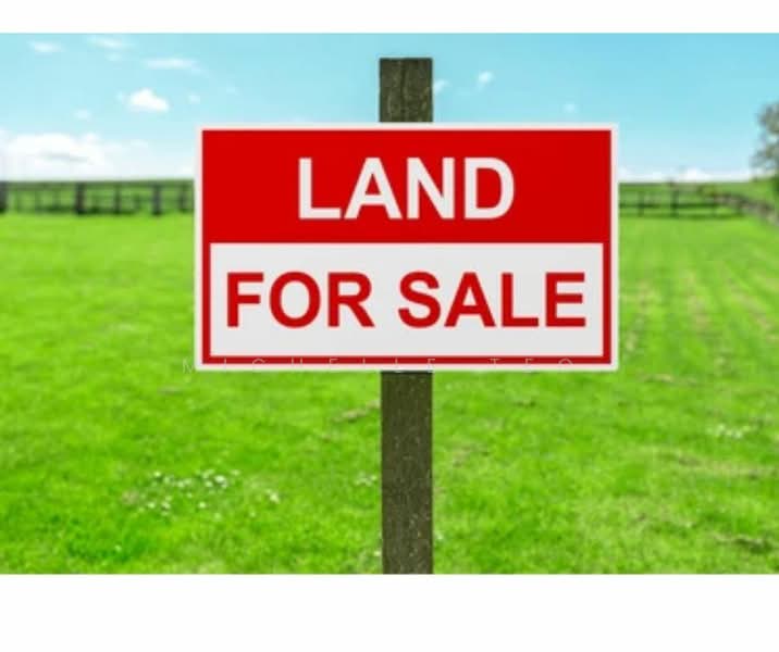 For Sale - Kung Phin