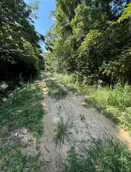 Agricultural Land for Sale in Kuching (Sarawak) - KC Jee - Exterior - PropertyGuru.com.my