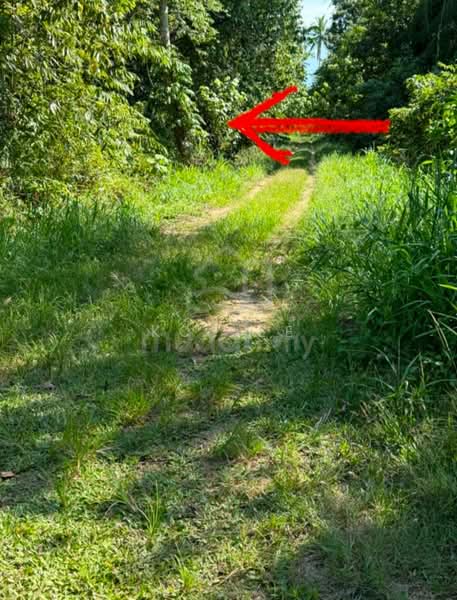 Agricultural Land for Sale in Kuching (Sarawak) - KC Jee - Exterior - PropertyGuru.com.my