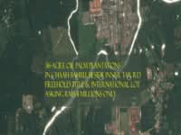 For Sale - YONG PENG 34-ACRE OIL PALM PLANTATION FOR SALES