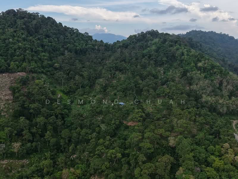 Agricultural Land for Sale in Gertak Sanggul (Penang) - Desmond Chuah - Exterior - PropertyGuru.com.my