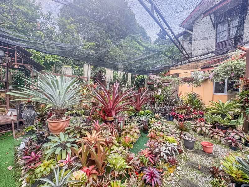 Terraced House for Sale in Alam Damai (Cheras) - Mohd Salimi - Garden - PropertyGuru.com.my